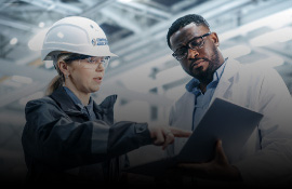 Software Solutions & Services