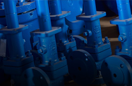 Asset Management Services